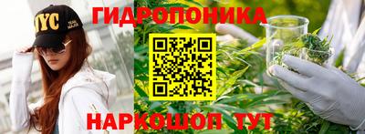 молекула духа Ставрополь