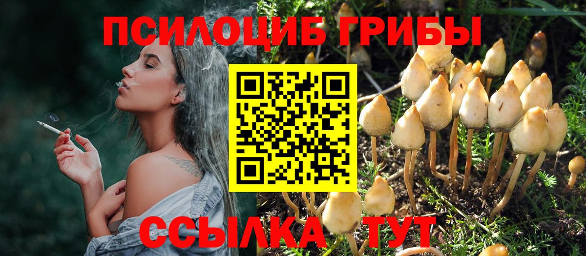 Кушва  где можно купить   Вход с VPN  Псилоцибиновые грибы MAGIC MUSHROOMS  Псилоцибиновые грибы Cubensis 